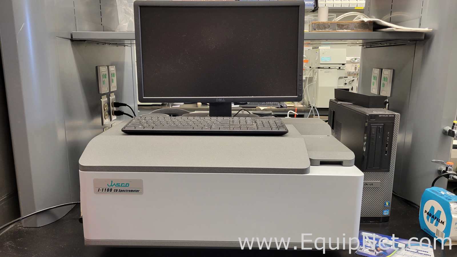 Espectrofotómetro Jasco J-1100