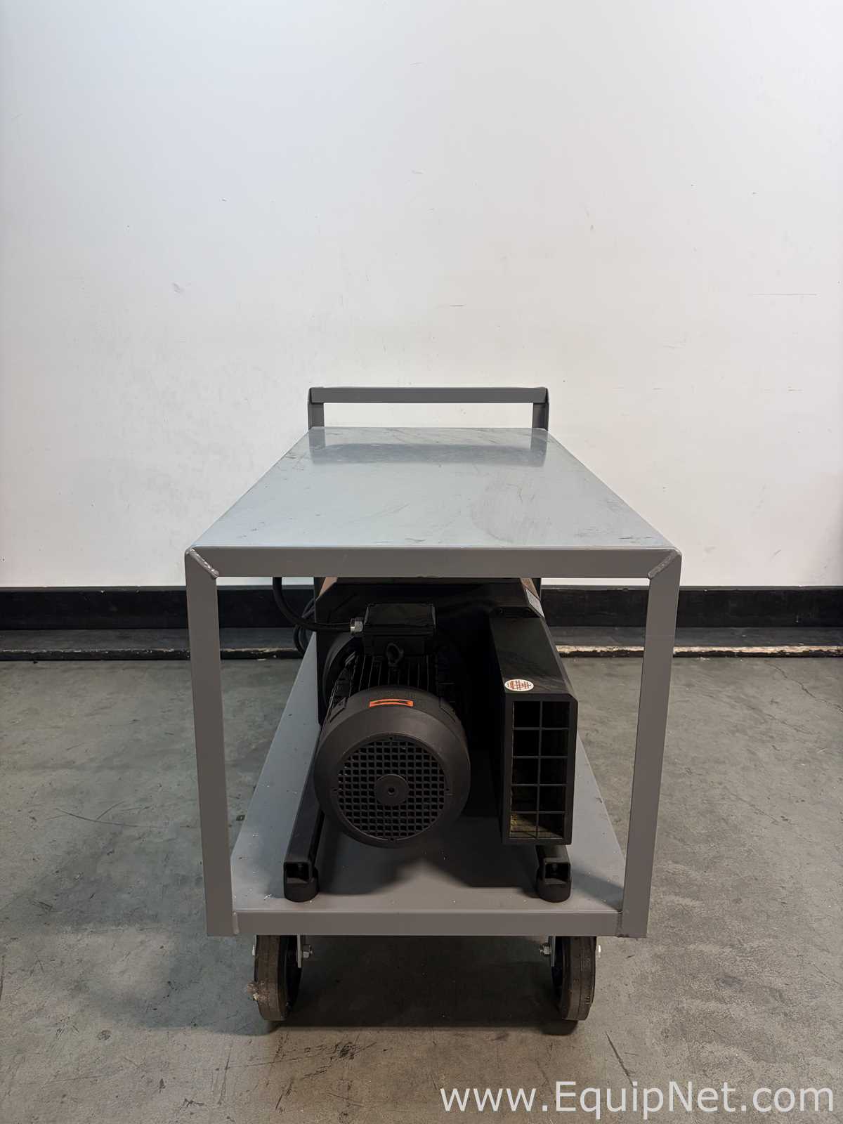 Bomba de Vacío Busch Mink MM 1142BV