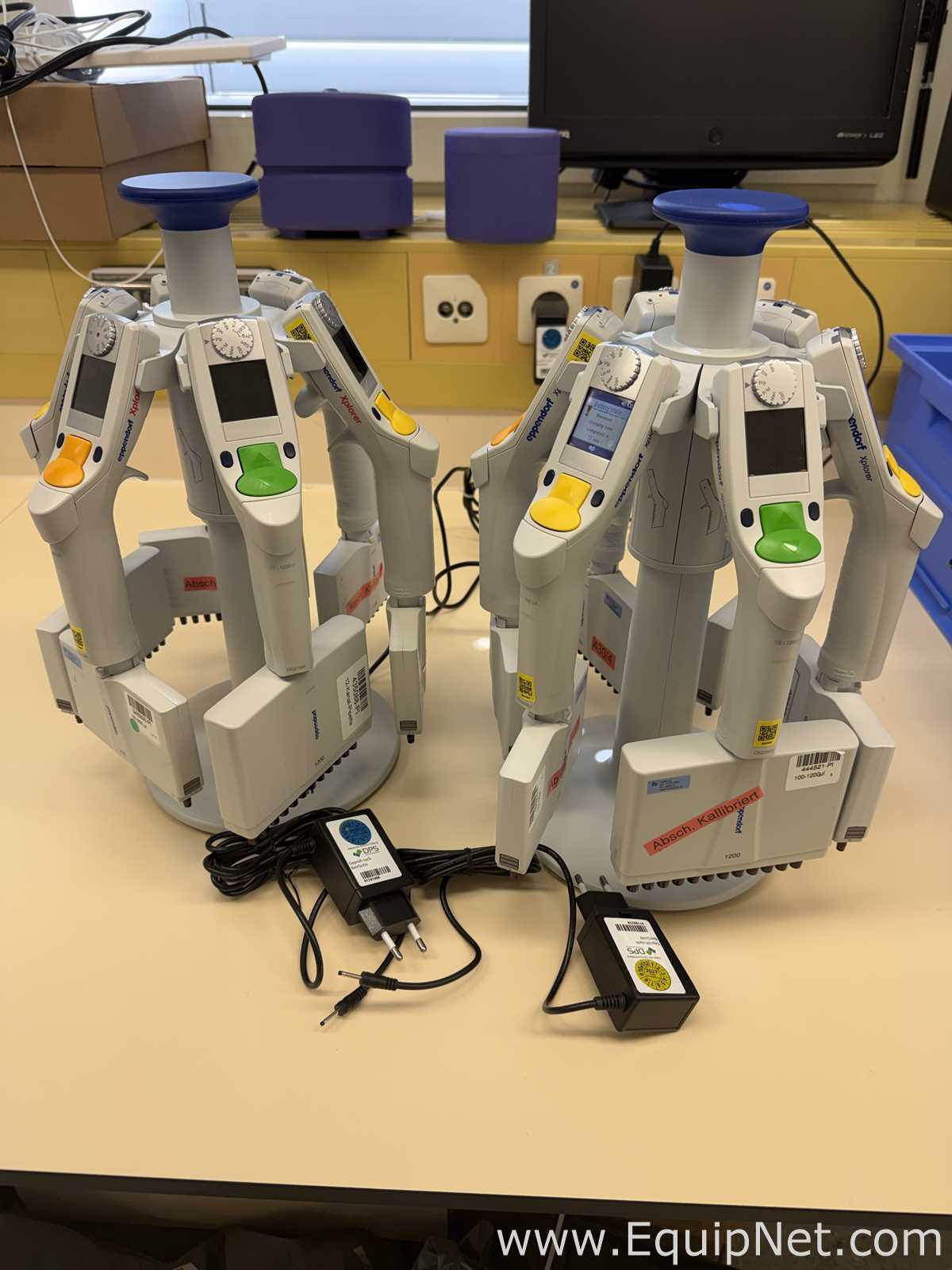 Lote de 12 Pipeteador Eppendorf Xplorer