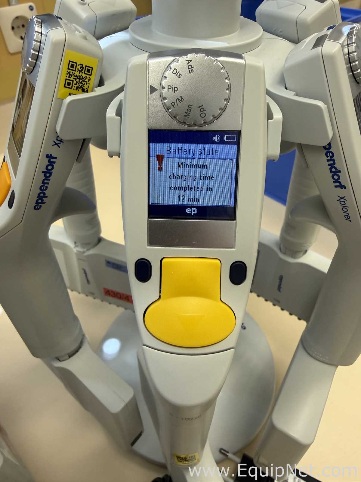 Lote de 12 Pipeteador Eppendorf Xplorer