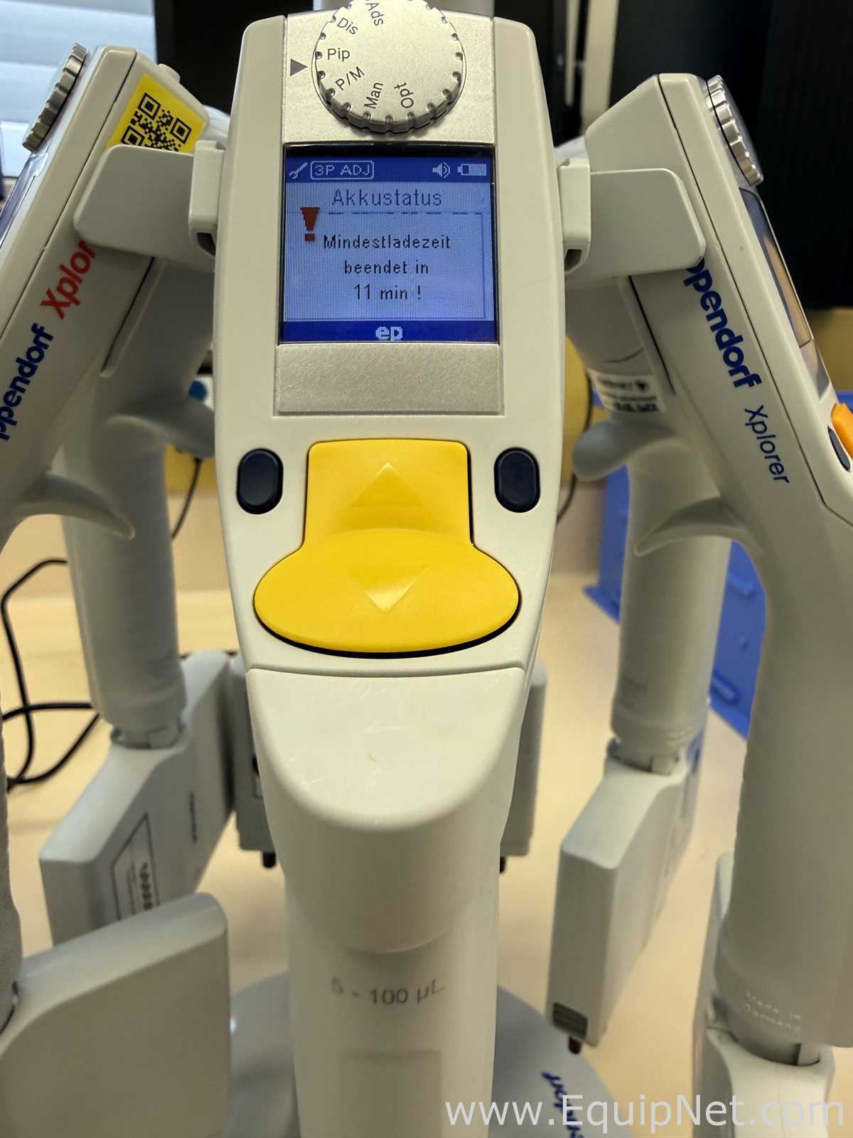 Lote de 12 Pipeteador Eppendorf Xplorer