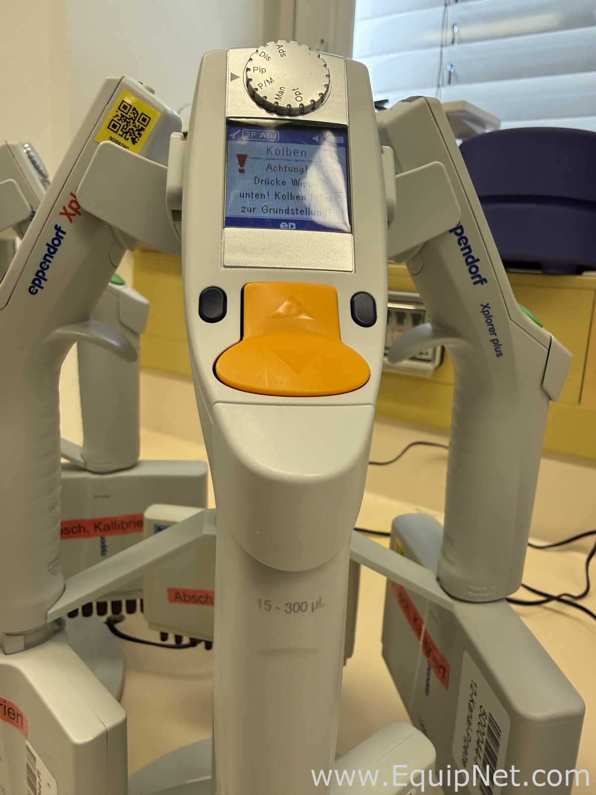 Lote de 12 Pipeteador Eppendorf Xplorer