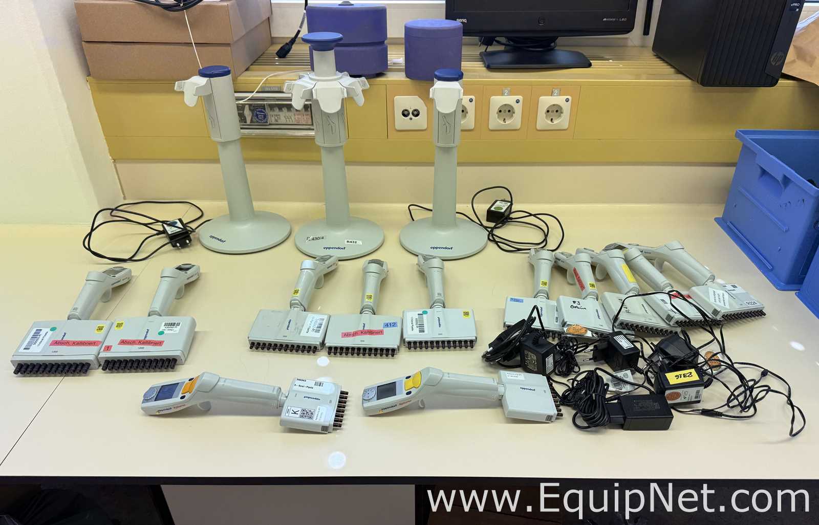 Lote de 12 Pipeteador Eppendorf Xplorer