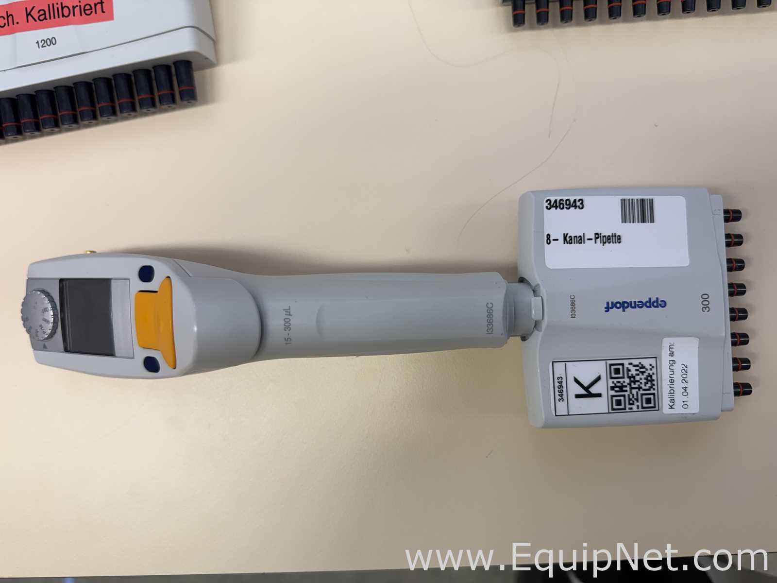 Lote de 12 Pipeteador Eppendorf Xplorer