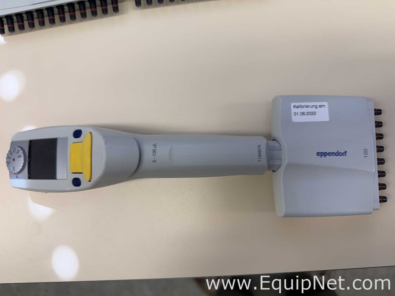 Lote de 12 Pipeteador Eppendorf Xplorer