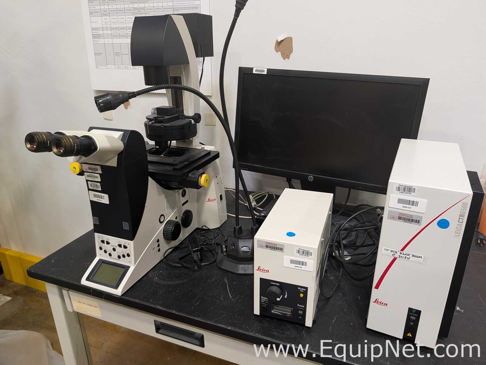 Leica DMI6000 B Automated Inverted Research Microscope