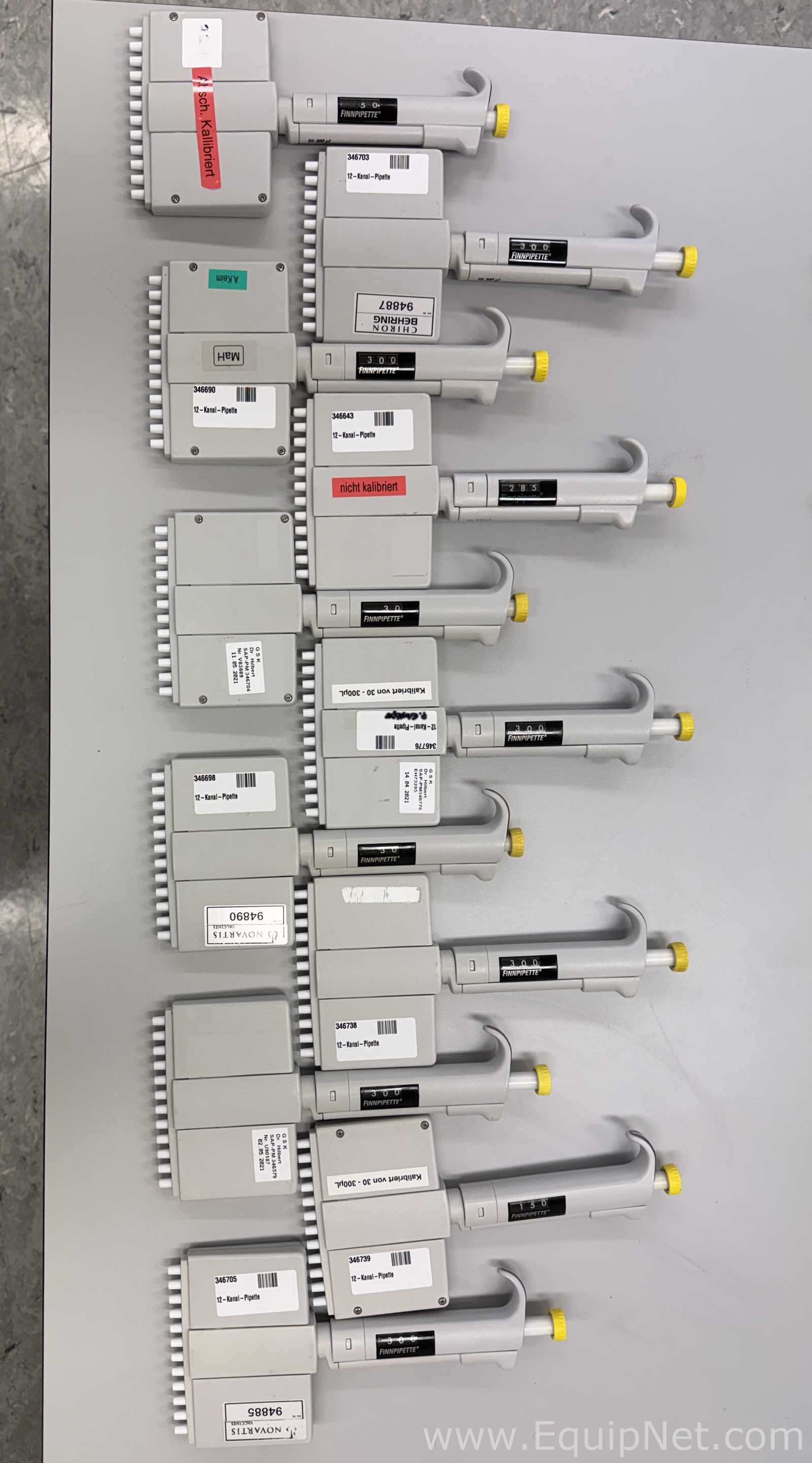 Lote de 11 Pipeteador Thermo Scientific Finnpipette