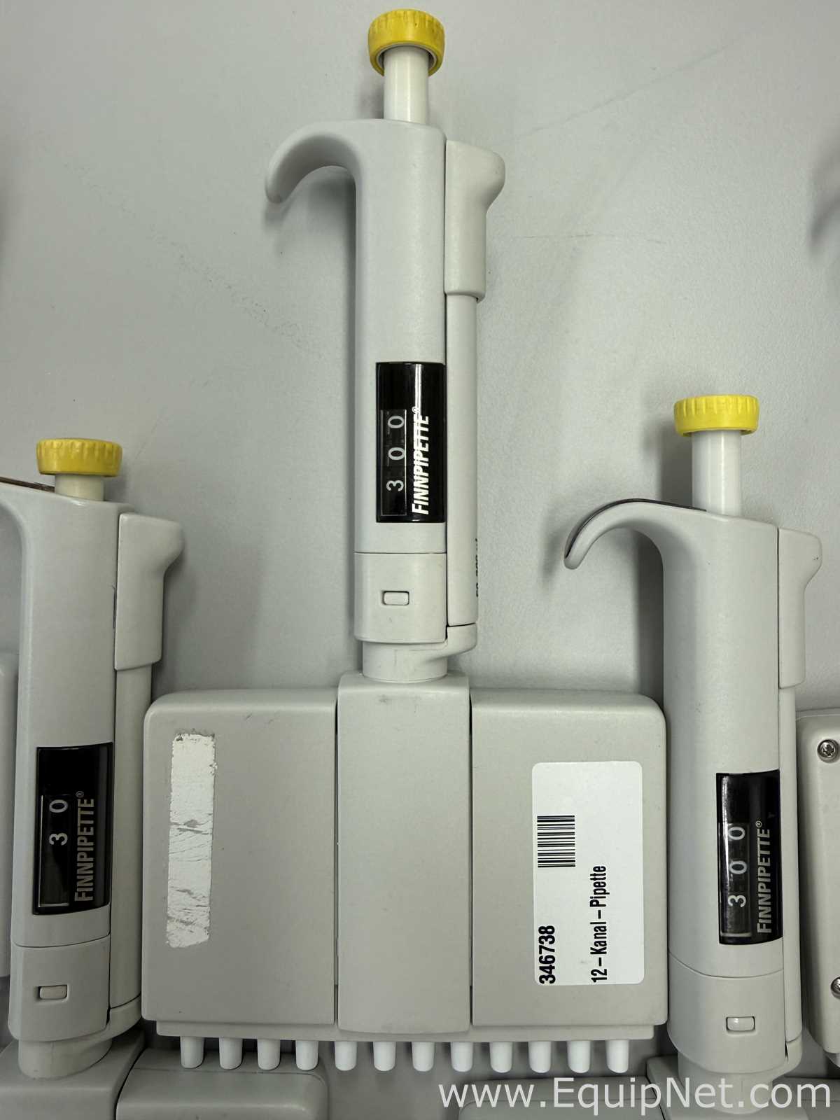 Lote de 11 Pipeteador Thermo Scientific Finnpipette