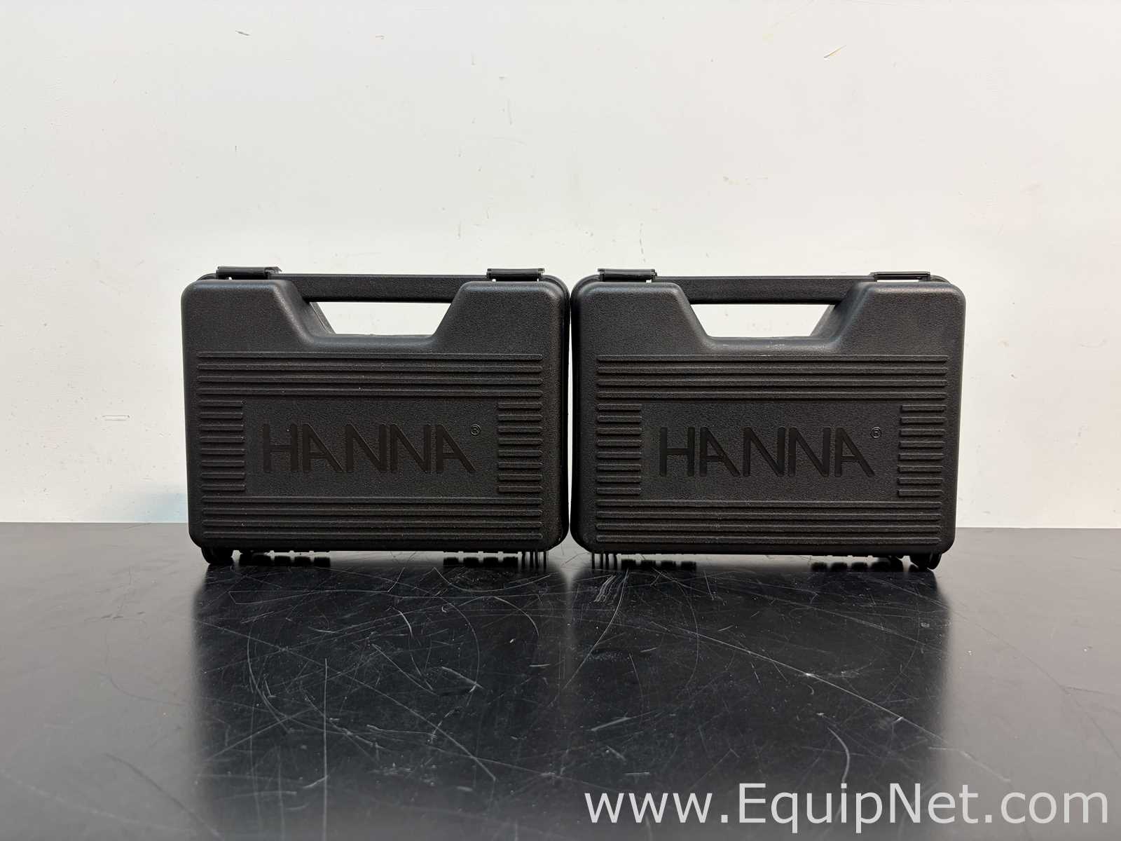 Lot of 2 Hanna Instruments HI 99161 pH Meters