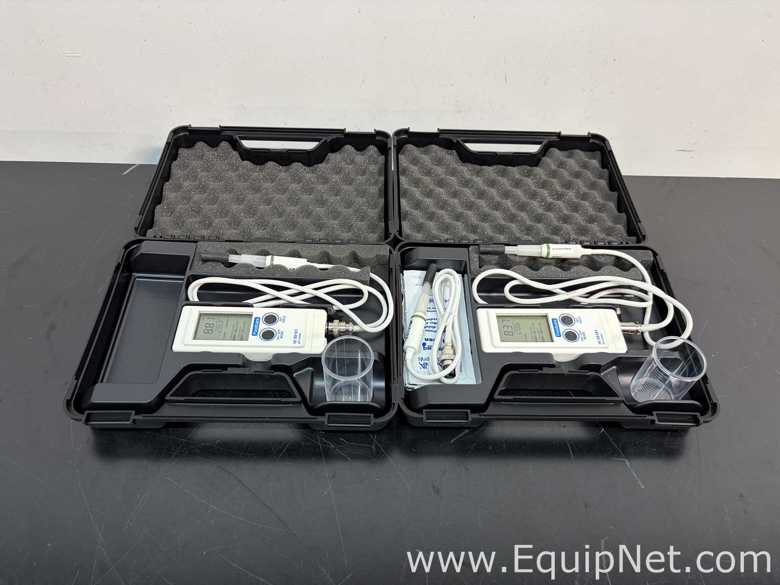 Lot of 2 Hanna Instruments HI 99161 pH Meters