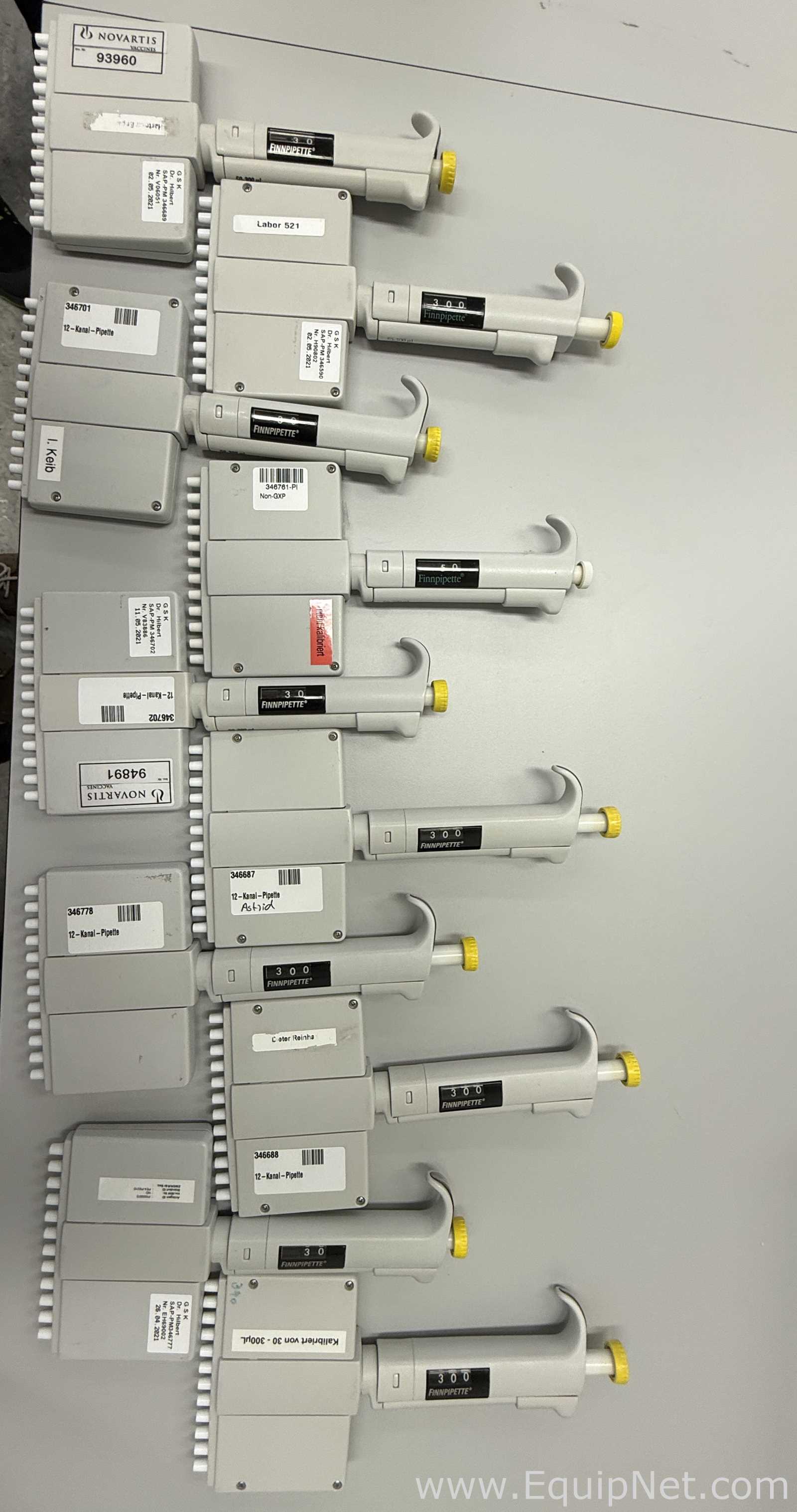 Lote de 11 Pipeteador Thermo Scientific Finnpipette