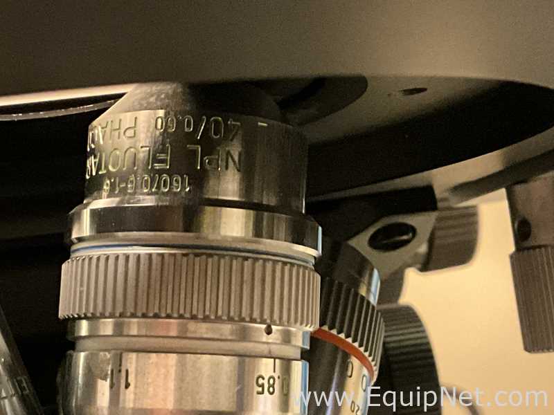 Microscópio Leitz Fluovert FS