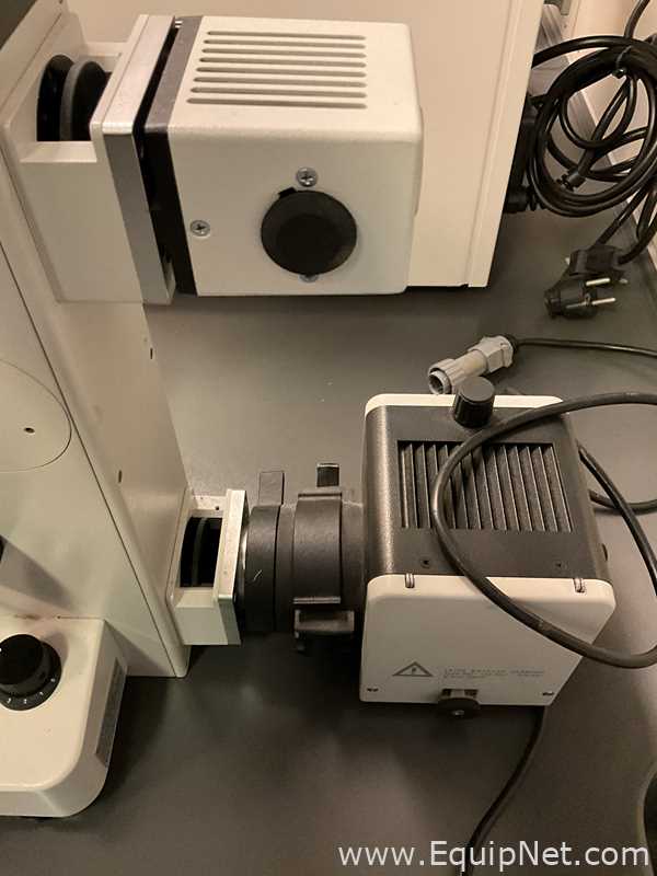 Microscópio Leitz Fluovert FS