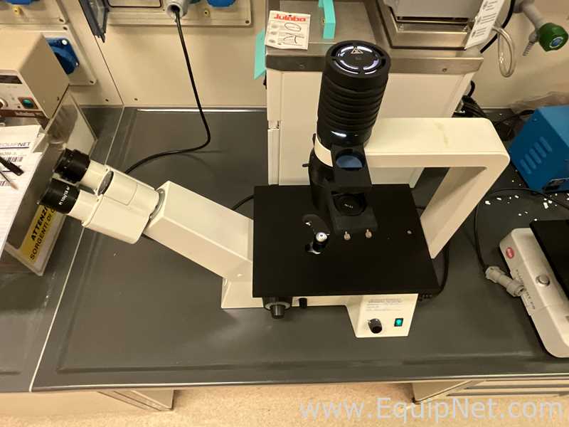 Zeiss Axiovert 25 Microscope