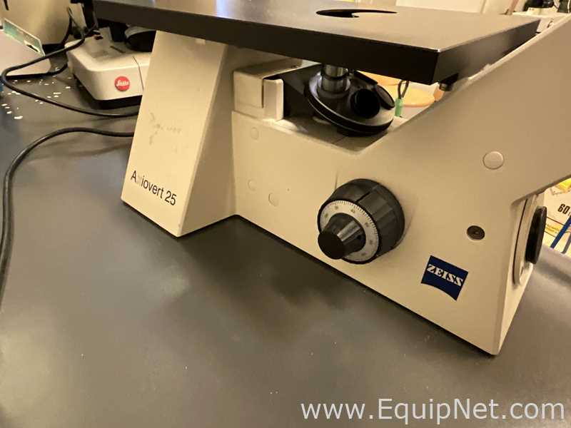 Zeiss Axiovert 25 Microscope