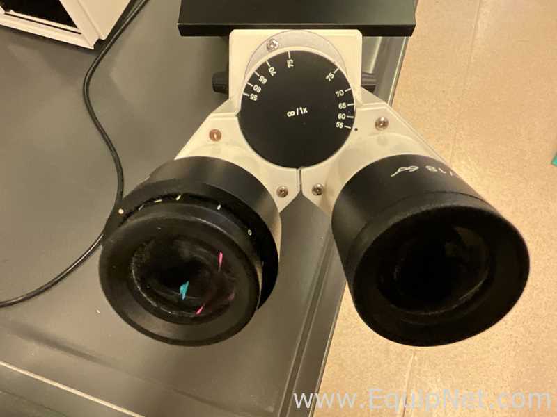 Zeiss Axiovert 25 Microscope