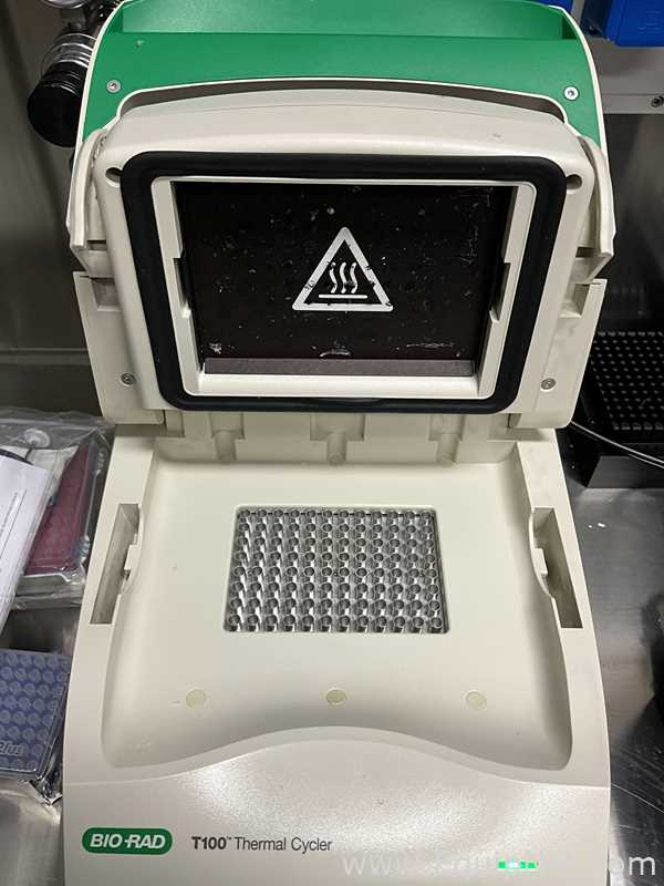 PCR e Termociclador Bio Rad T100