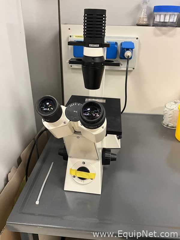 Zeiss Axiovert 25 Microscope