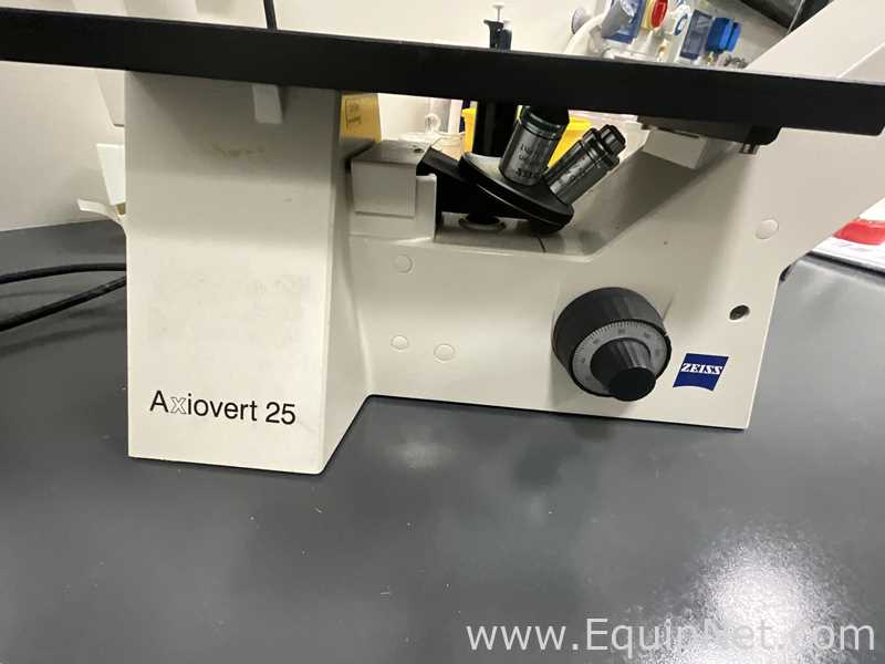Zeiss Axiovert 25 Microscope