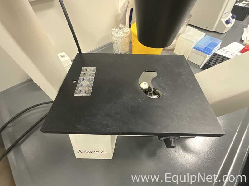 Zeiss Axiovert 25 Microscope