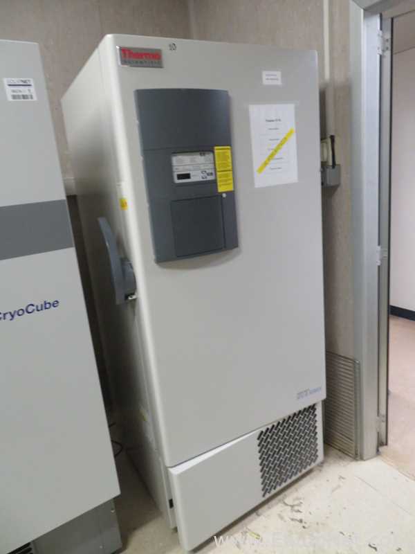 Thermo Scientific HFU320BV -80 Freezer