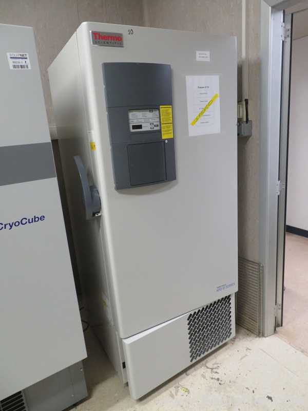 Thermo Scientific HFU320BV -80 Freezer