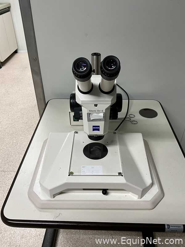 Carl Zeiss Stemi SV6 Stereo Microscope