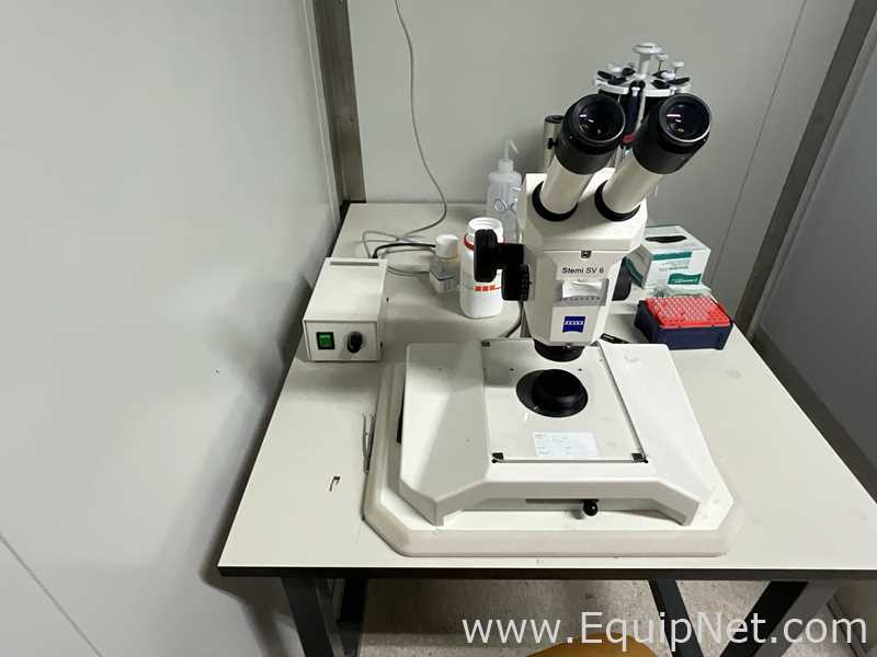 Carl Zeiss Stemi SV6 Stereo Microscope