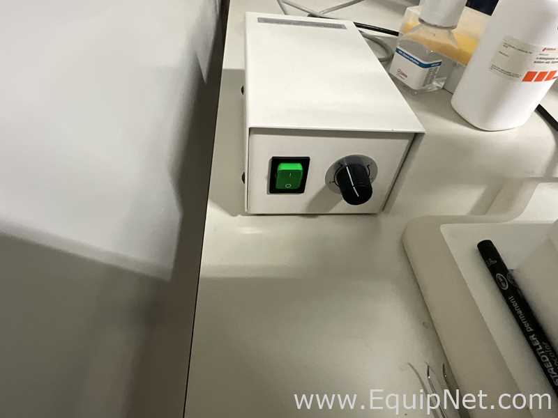 Carl Zeiss Stemi SV6 Stereo Microscope