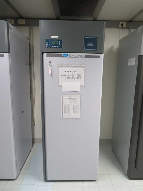 Frimed SRL AF70B-P -20 Freezer