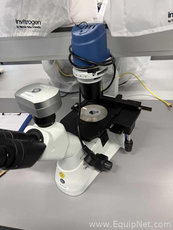 Microscopio Euromex Oxion Inverso