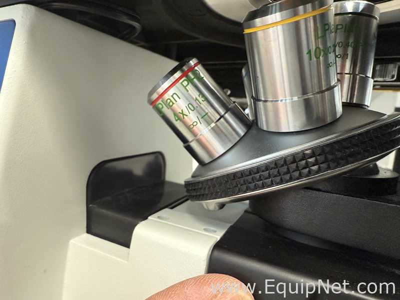 Microscopio Euromex Oxion Inverso