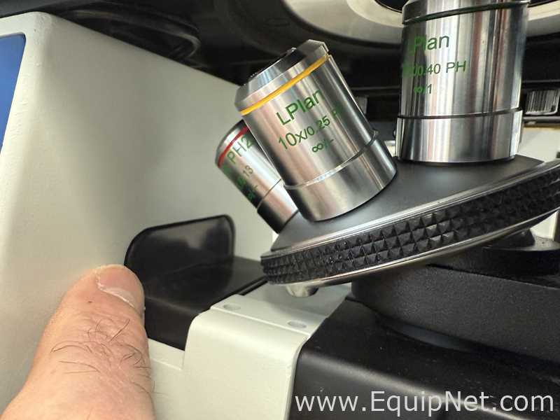 Microscopio Euromex Oxion Inverso