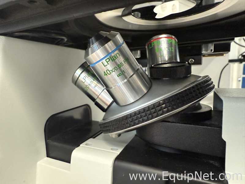 Microscopio Euromex Oxion Inverso