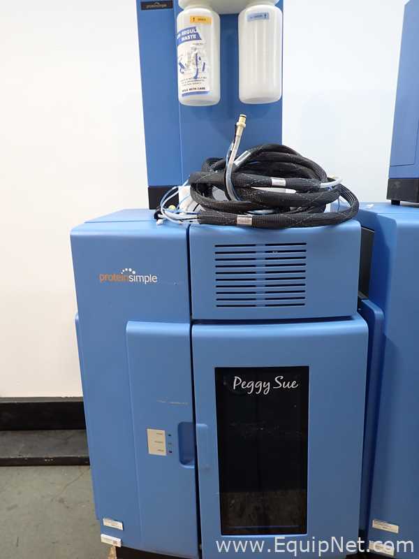 Analisador Protein Simple Peggy Sue