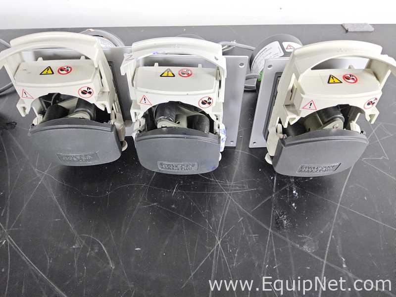 lote de  3 Bomba peristáltica Watson Marlow 313D