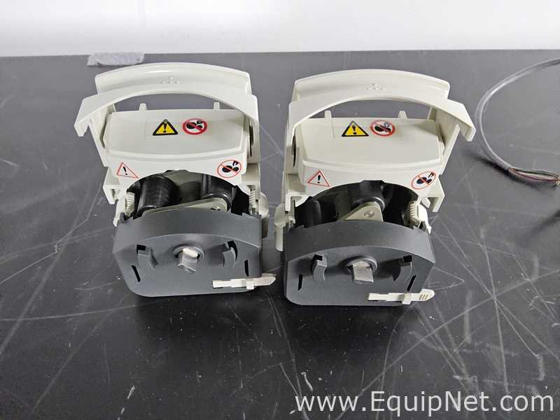 lote de  3 Bomba peristáltica Watson Marlow 313D
