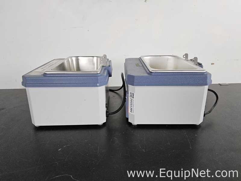 Lote de 2 Baño María / Circulador Fisher Scientific 205