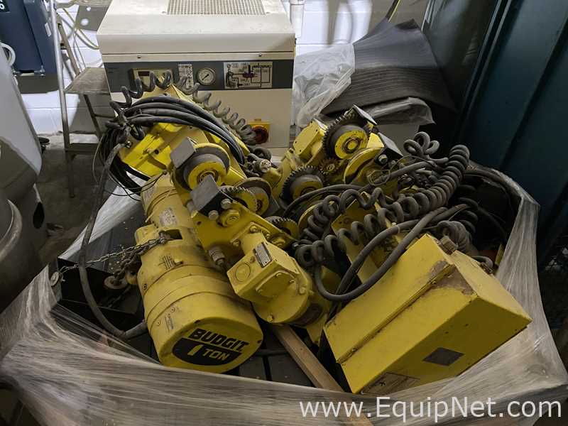 Lote de  Polipasto Budgit 1 Ton.  1 Toneladas