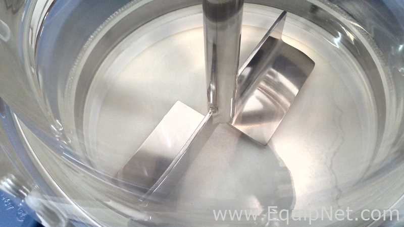 Buchi AG | Buchiglasuster 13 Liter Pilot Plant Nutsche Filter