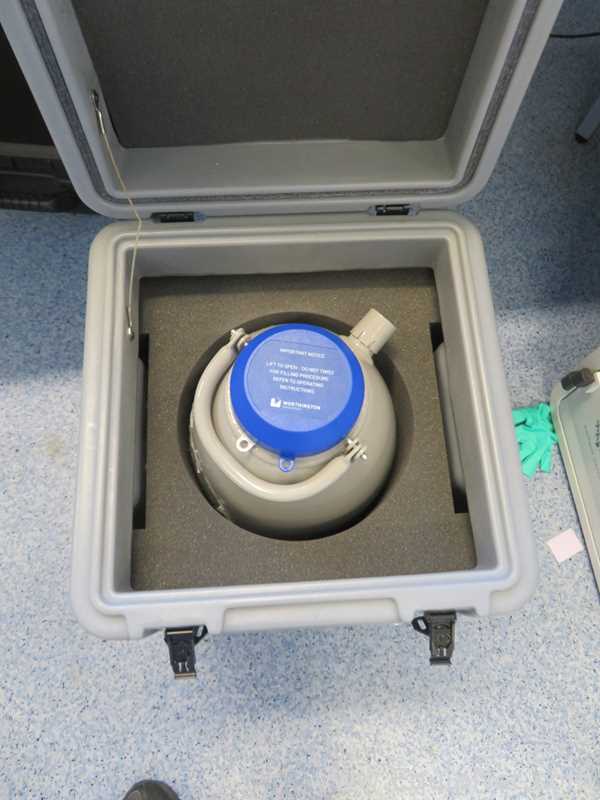 Worthington Industries CX100B-11M 4.1 Liters Liquid Nitrogen with Transport Case