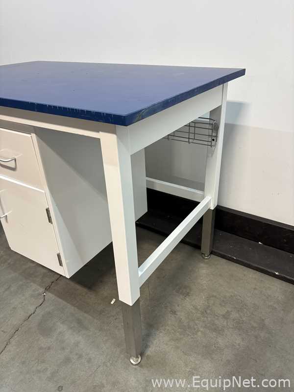 Lot of 51 Assorted Length Lab Benches