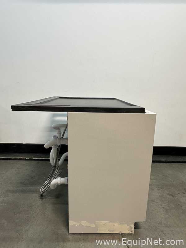 Thermo Scientific 950S4200007331M and BU606039514200M Flammable Storage Cabinet