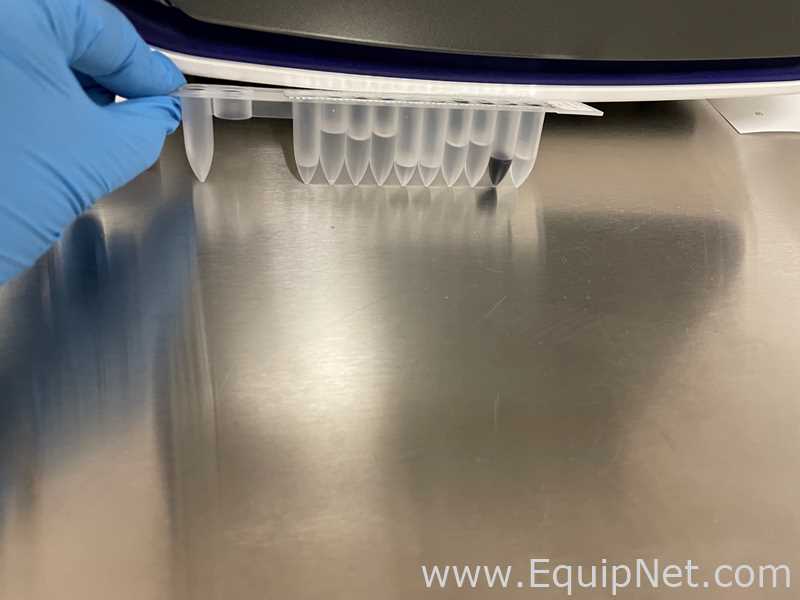 Sintetizador de DNA Qiagen EZ1 Advanced