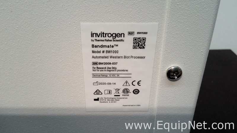 Invitrogen BW1000 Bandmate Automated Western Blot Processor