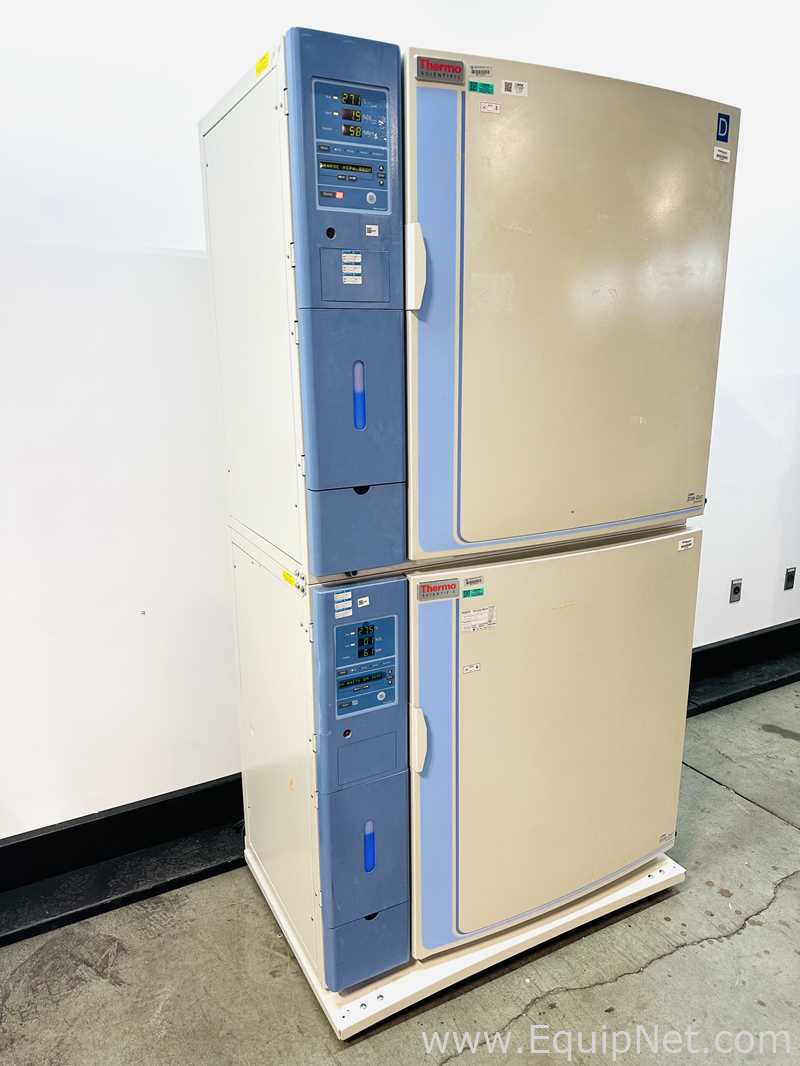 Incubadora Thermo Scientific 3310
