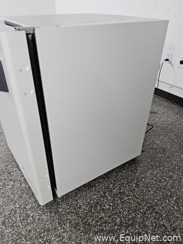 Incubadora Thermo Scientific Heracell Vios 160i