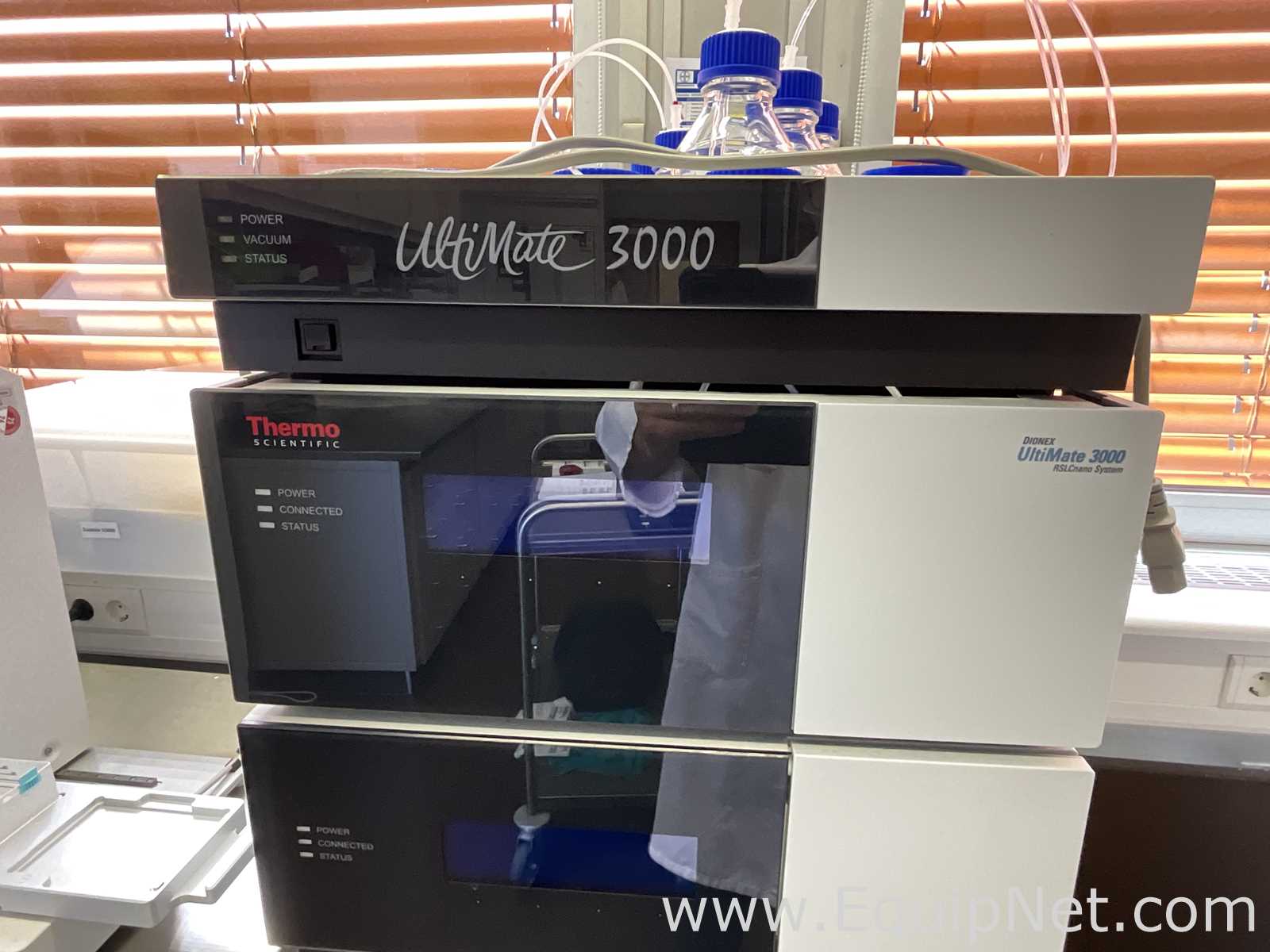 Sistema HPLC Thermo Fisher Scientific Dionex UltiMate 3000