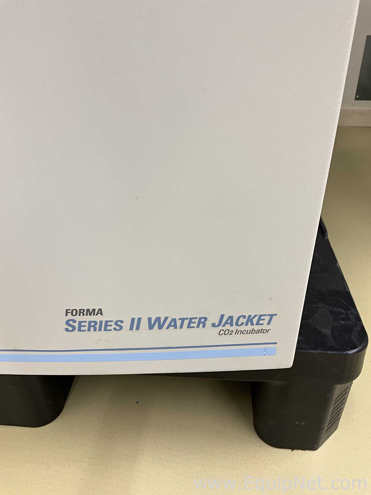 Incubadora Thermo Fisher Scientific 3121