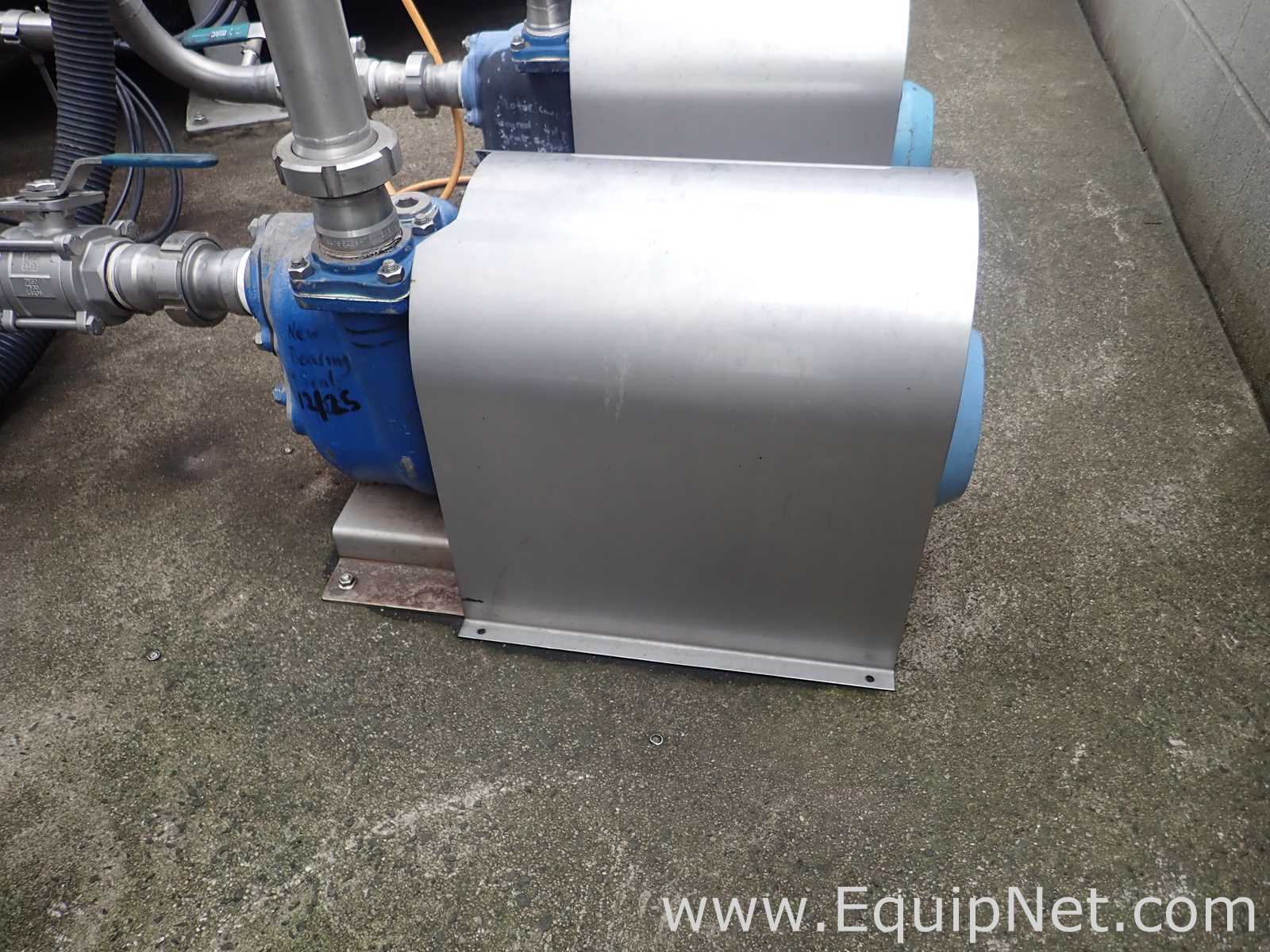 30 m3-hr Positive Displacement Pump 3 kW - Pump No6